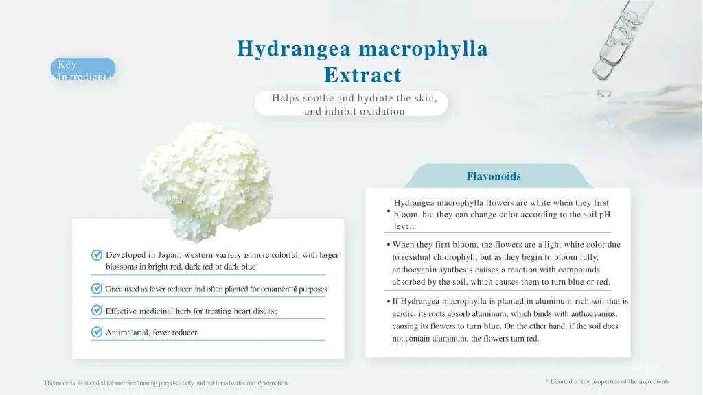 hydrangea macrophylla extract helps soothe