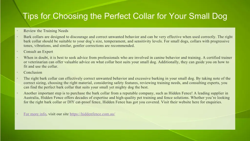 tips for choosing the perfect collar for your 1