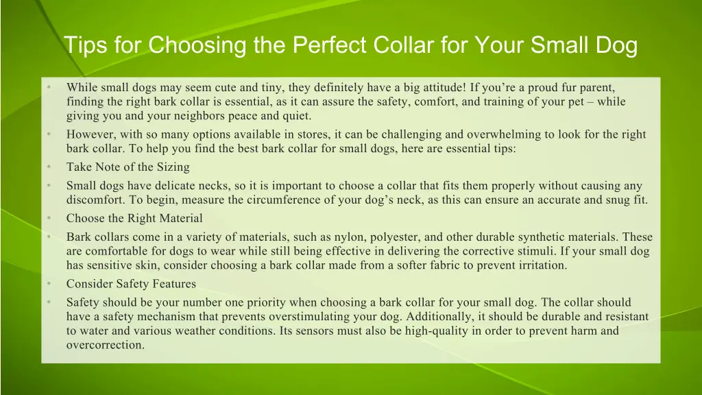 tips for choosing the perfect collar for your