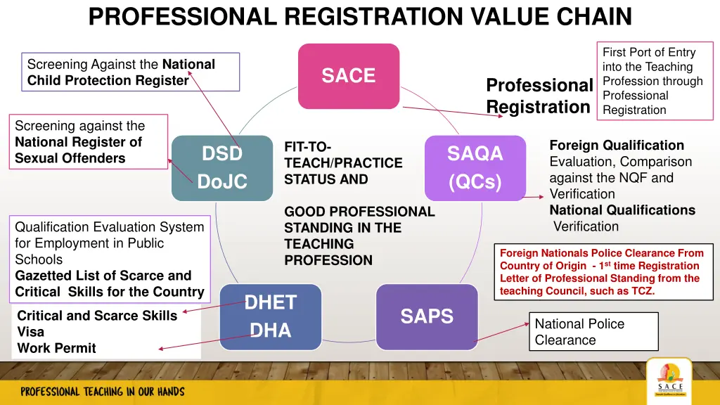 professional registration value chain