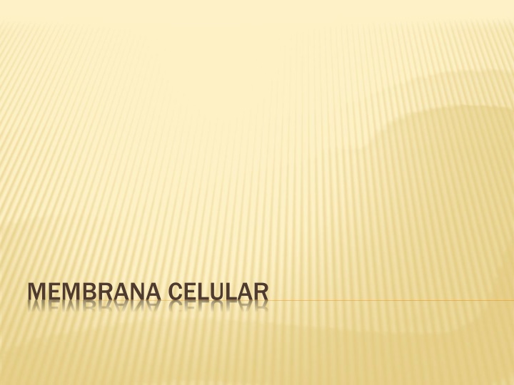 membrana celular