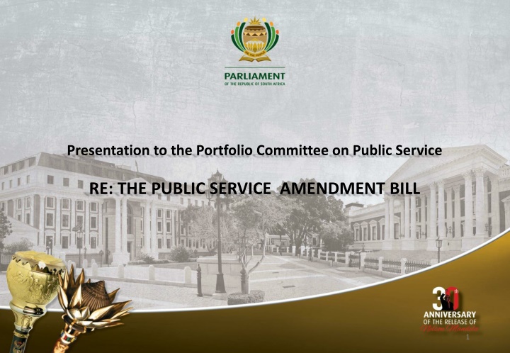 presentation to the portfolio committee on public