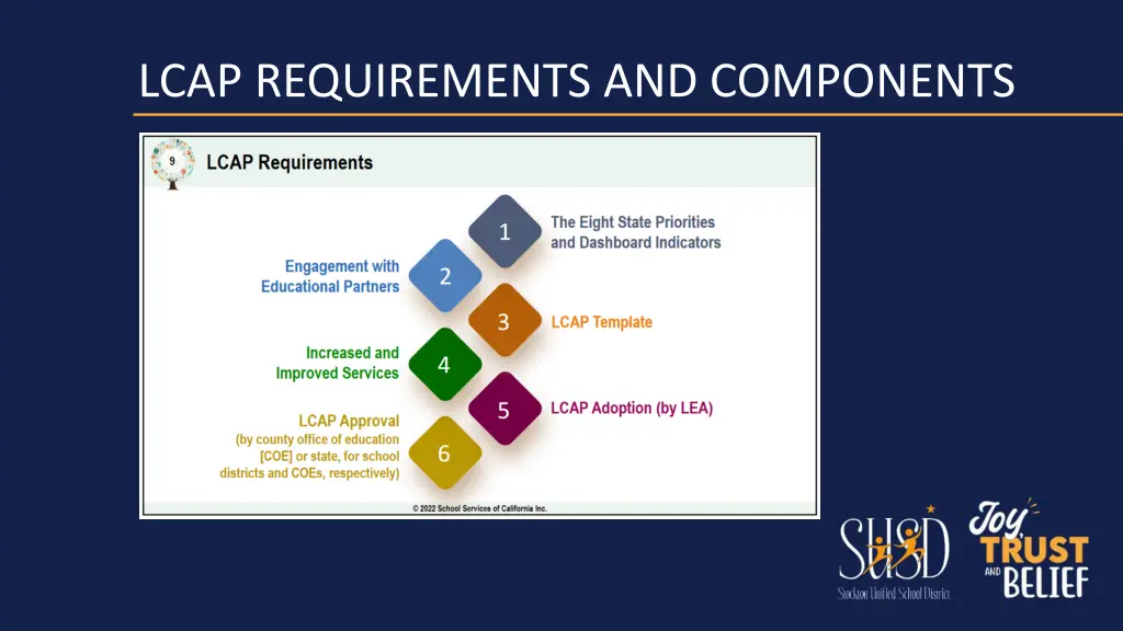lcap requirements and components