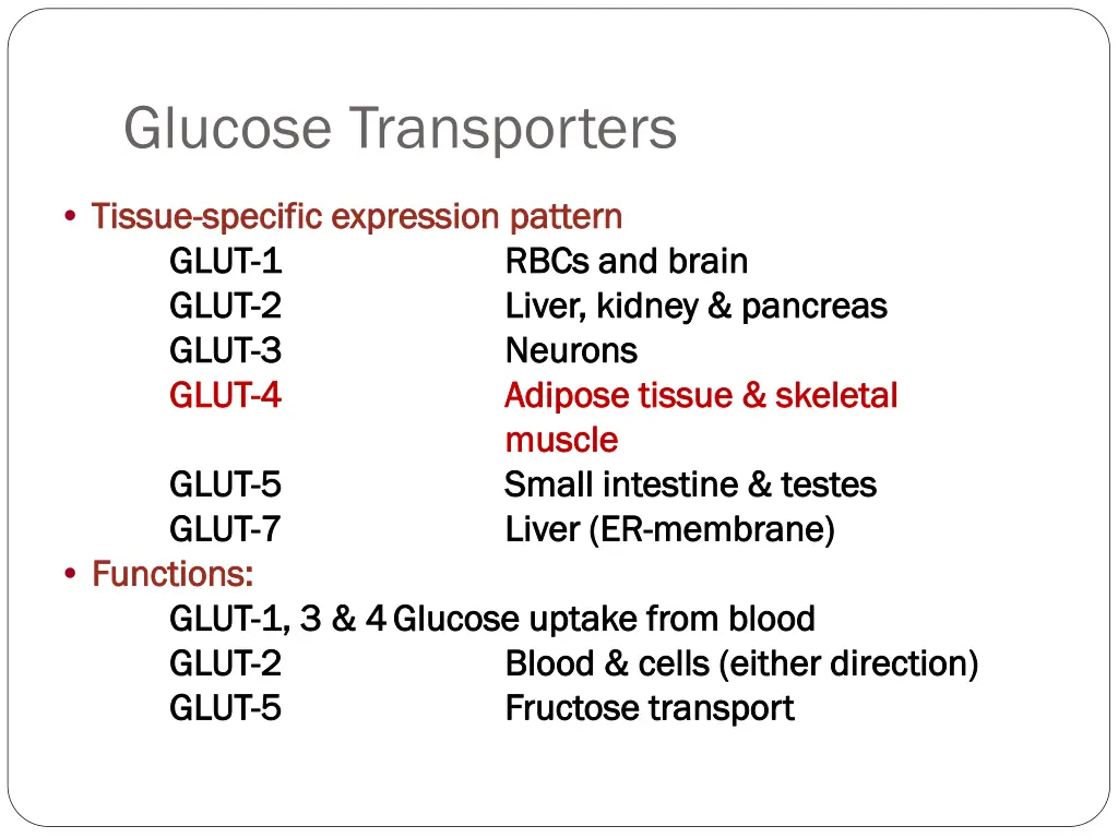 glucose transporters