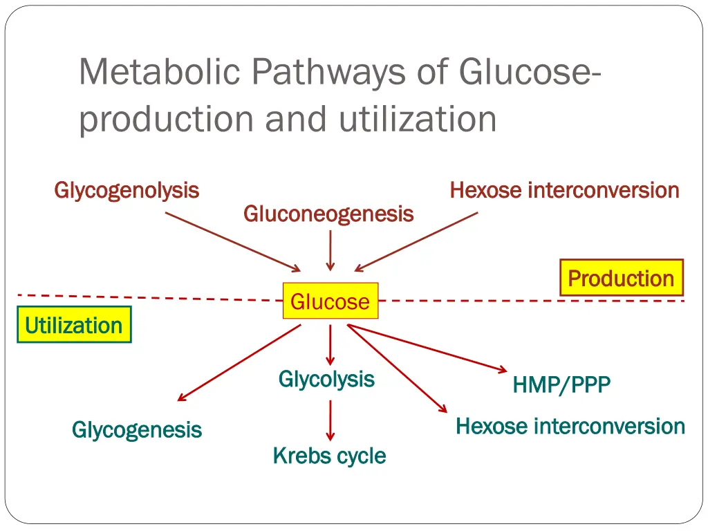 metabolic pathways of glucose production