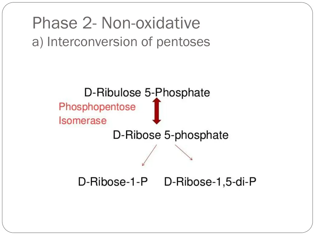phase 2 non oxidative a interconversion