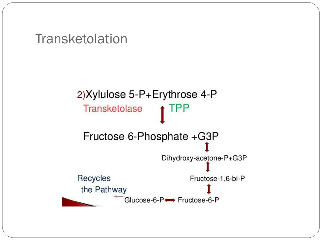 transketolation 1