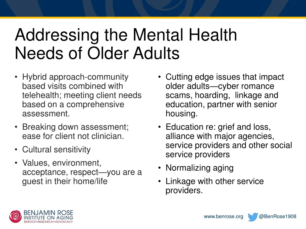 addressing the mental health needs of older adults