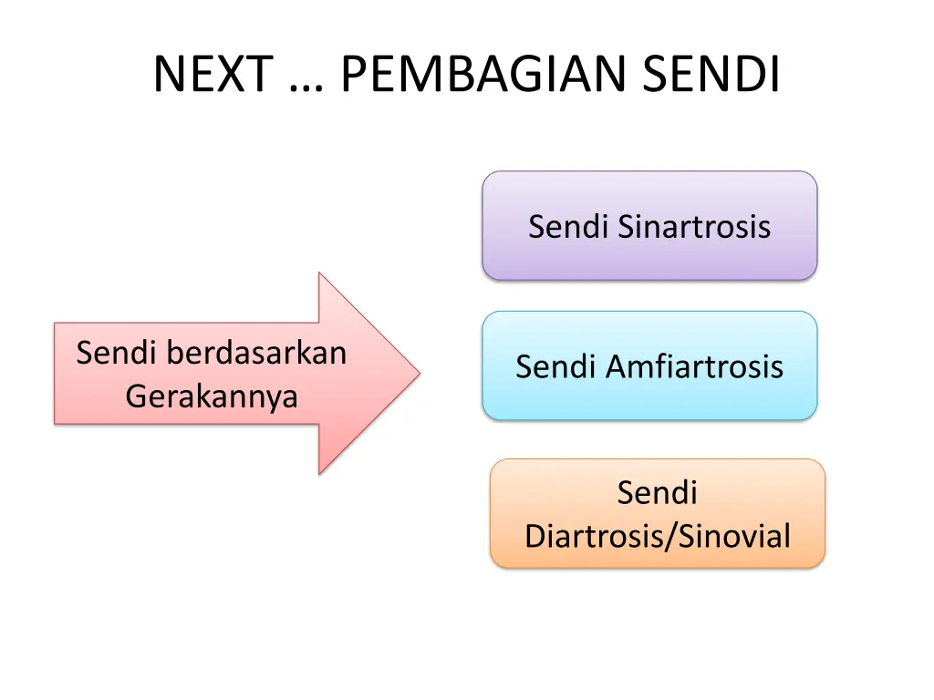 next pembagian sendi