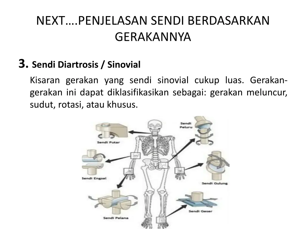 next penjelasan sendi berdasarkan gerakannya 1