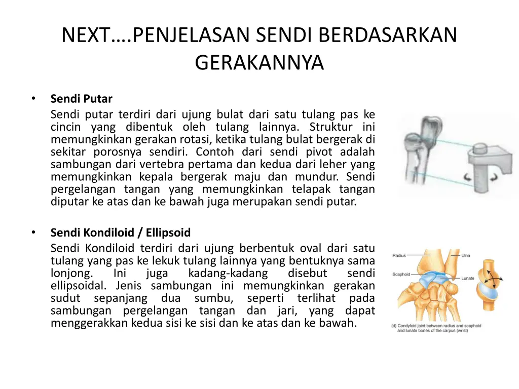 next penjelasan sendi berdasarkan gerakannya 3