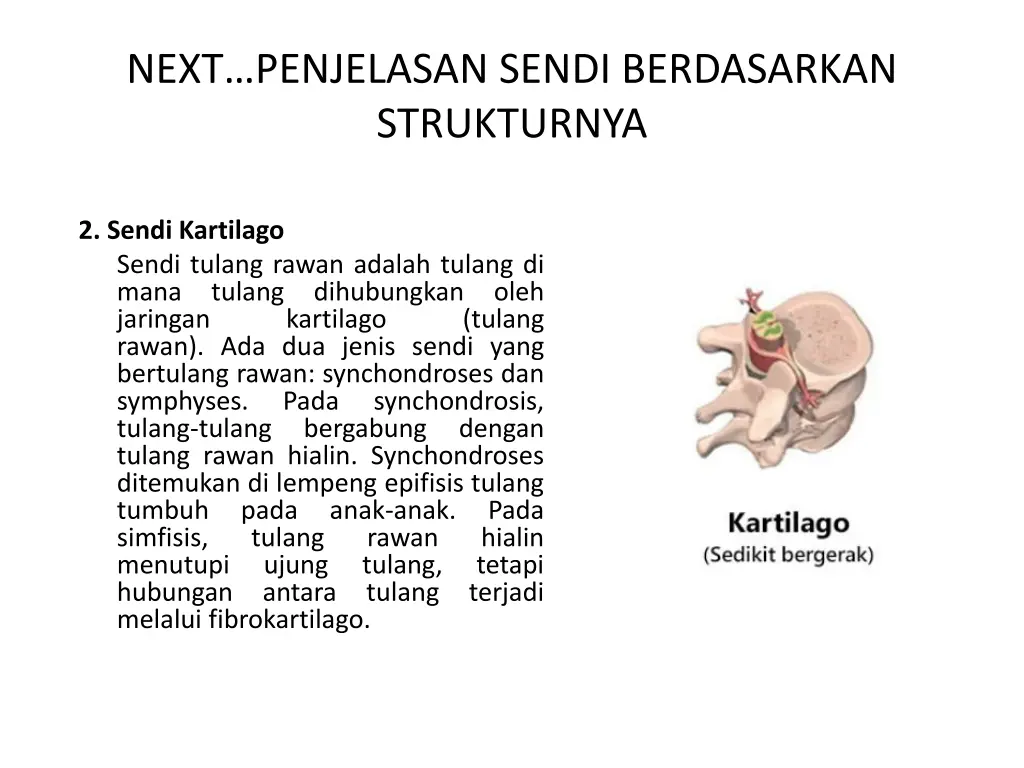 next penjelasan sendi berdasarkan strukturnya