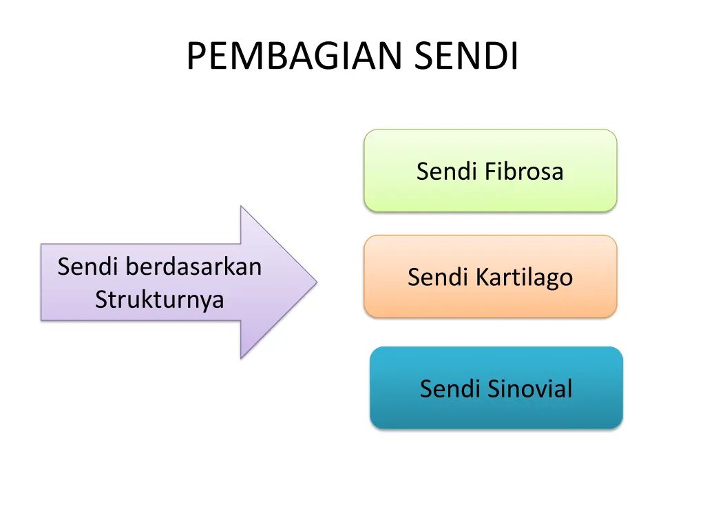 pembagian sendi