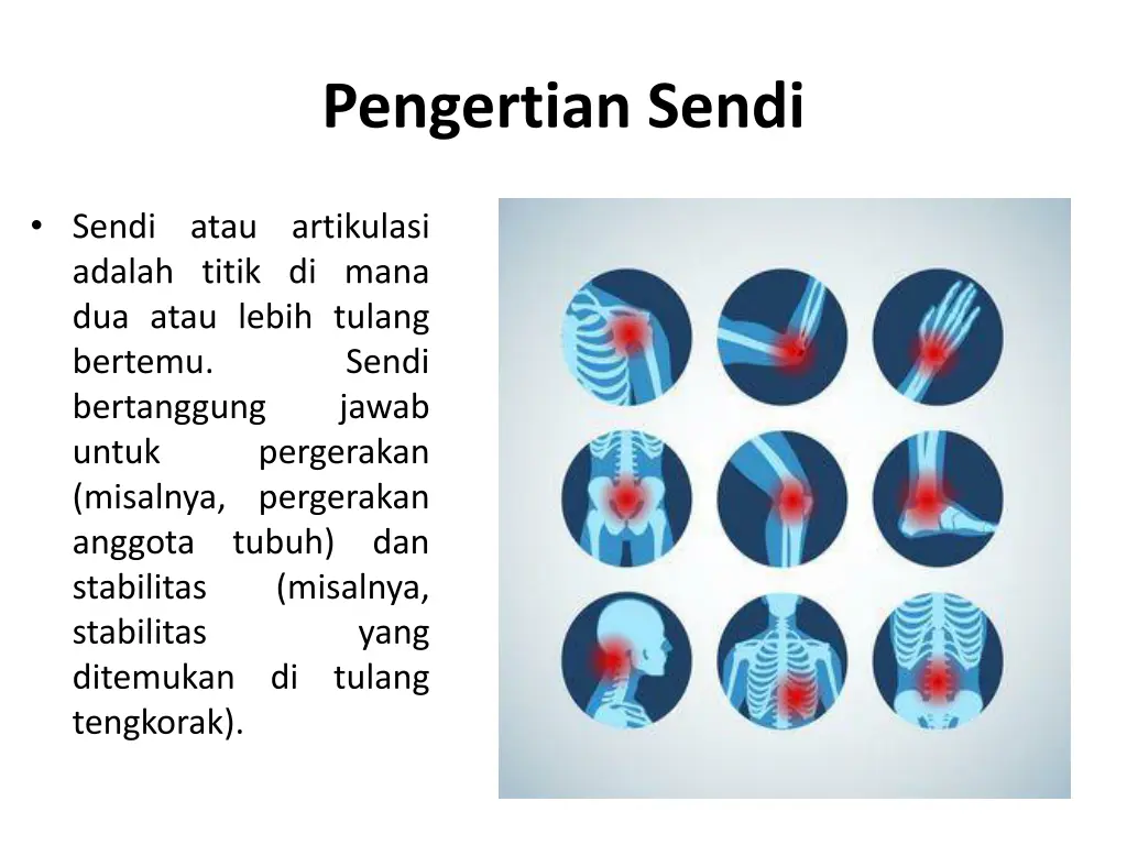 pengertian sendi