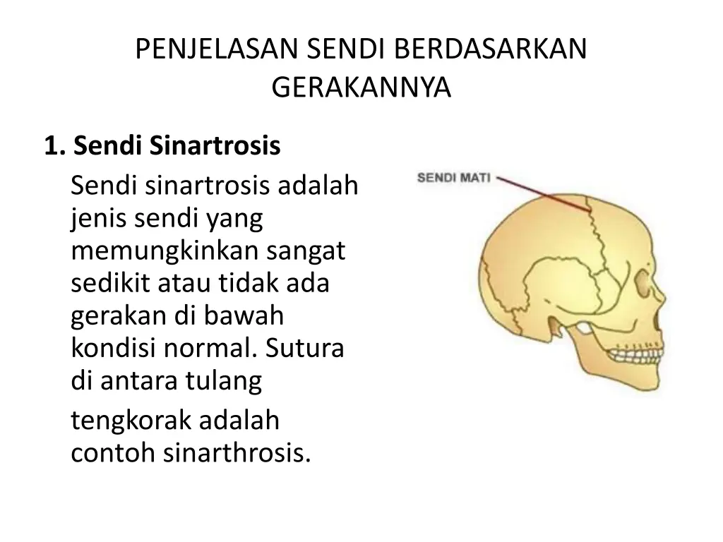 penjelasan sendi berdasarkan gerakannya