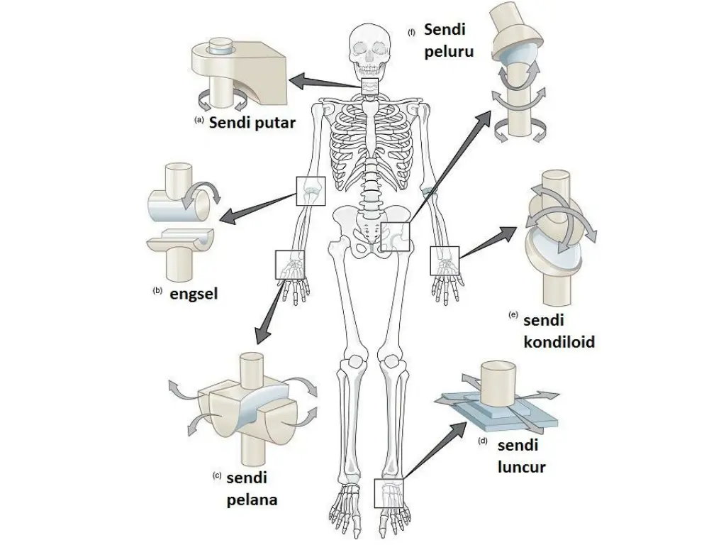 slide16