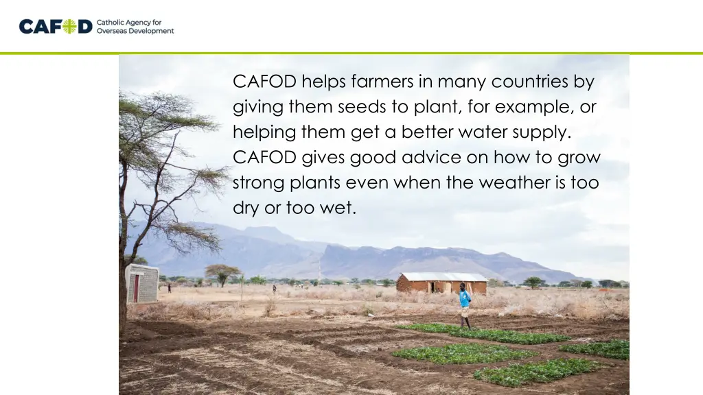cafod helps farmers in many countries by giving