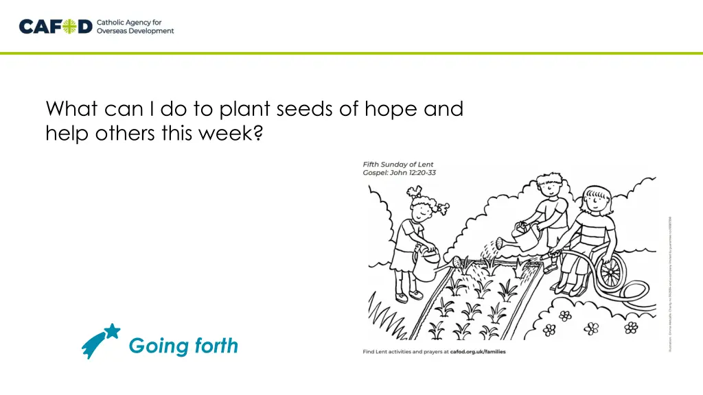 what can i do to plant seeds of hope and help