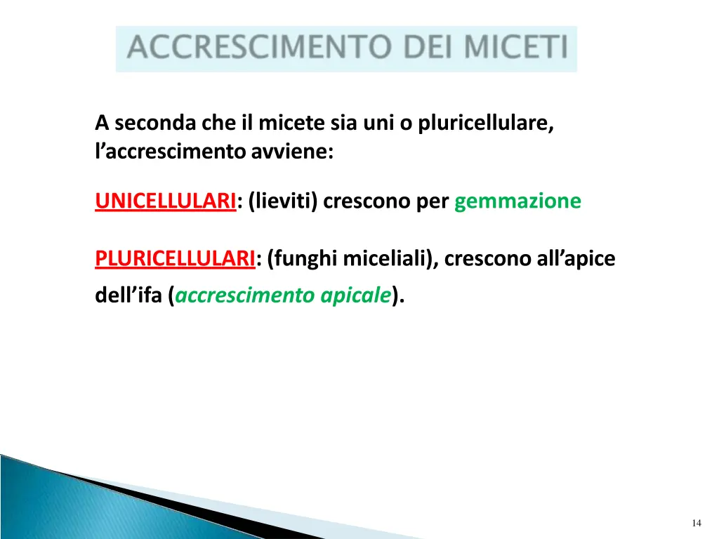 a seconda che il micete sia uni o pluricellulare