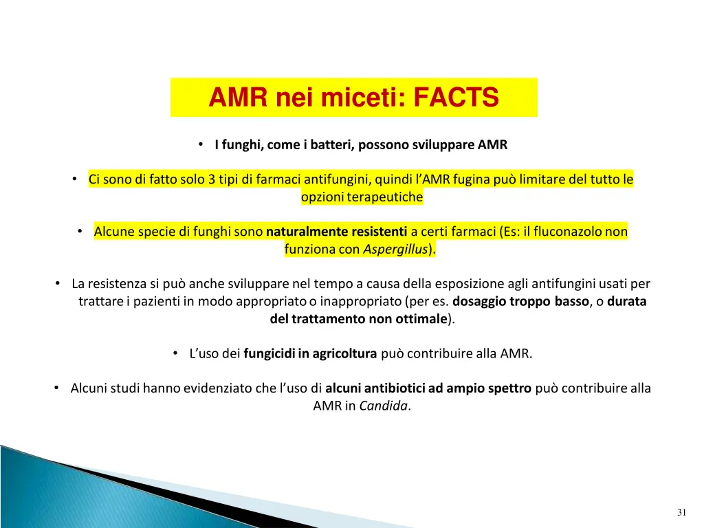 amr nei miceti facts