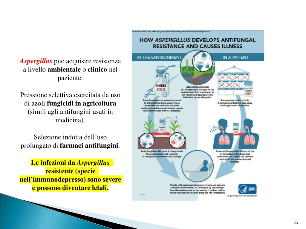 aspergillus pu acquisire resistenza a livello