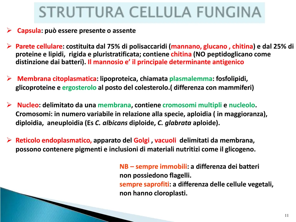 capsula pu essere presenteo assente