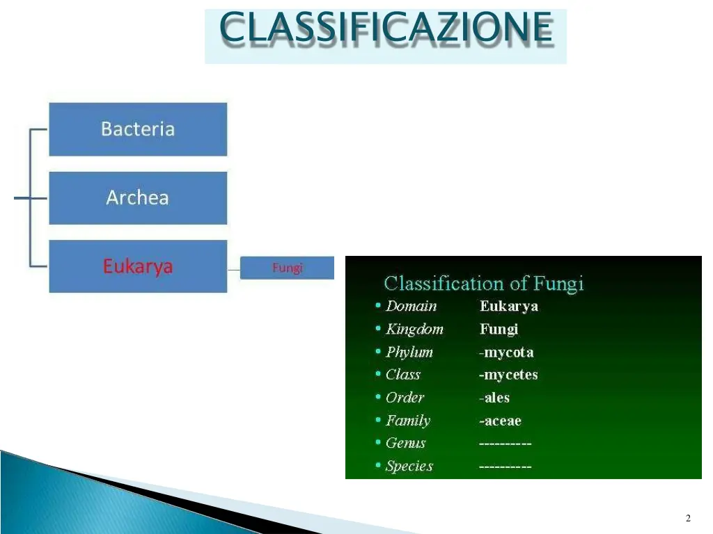 classificazione