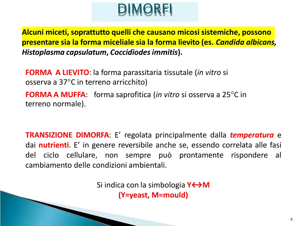 dimorfi