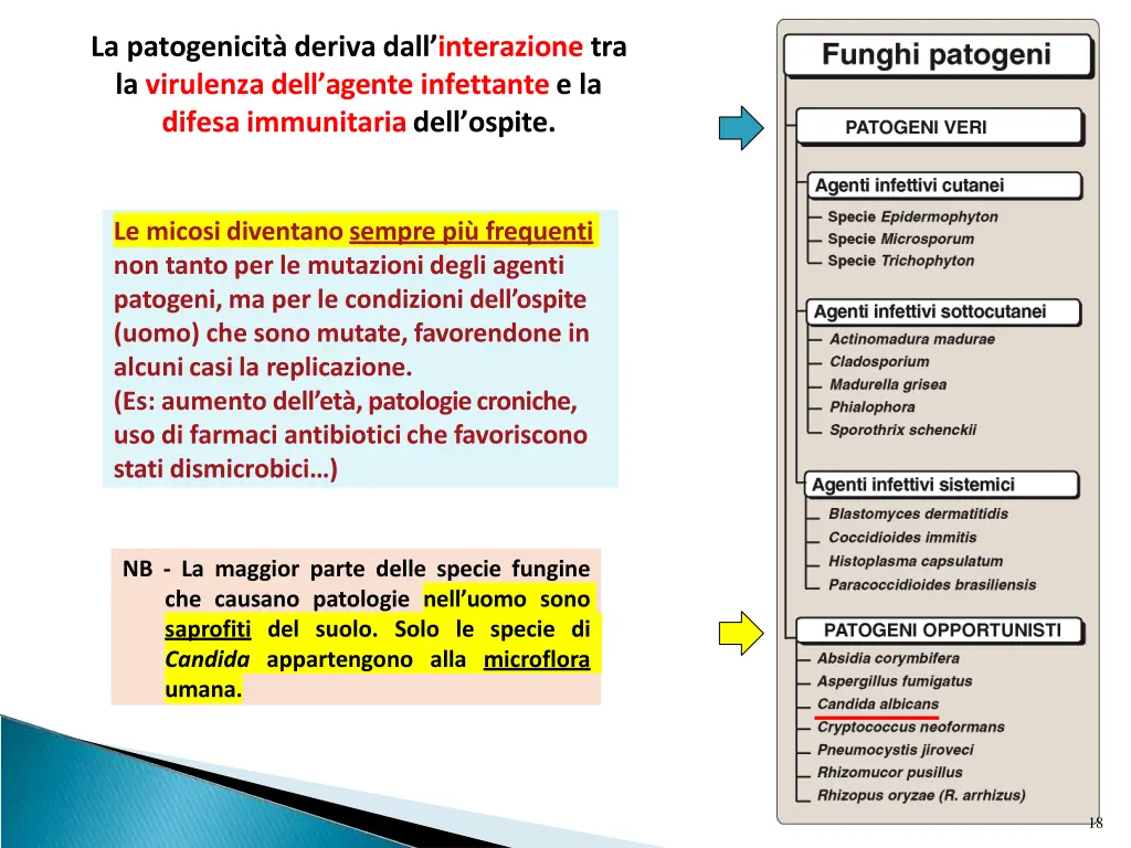 la patogenicit deriva dall interazione