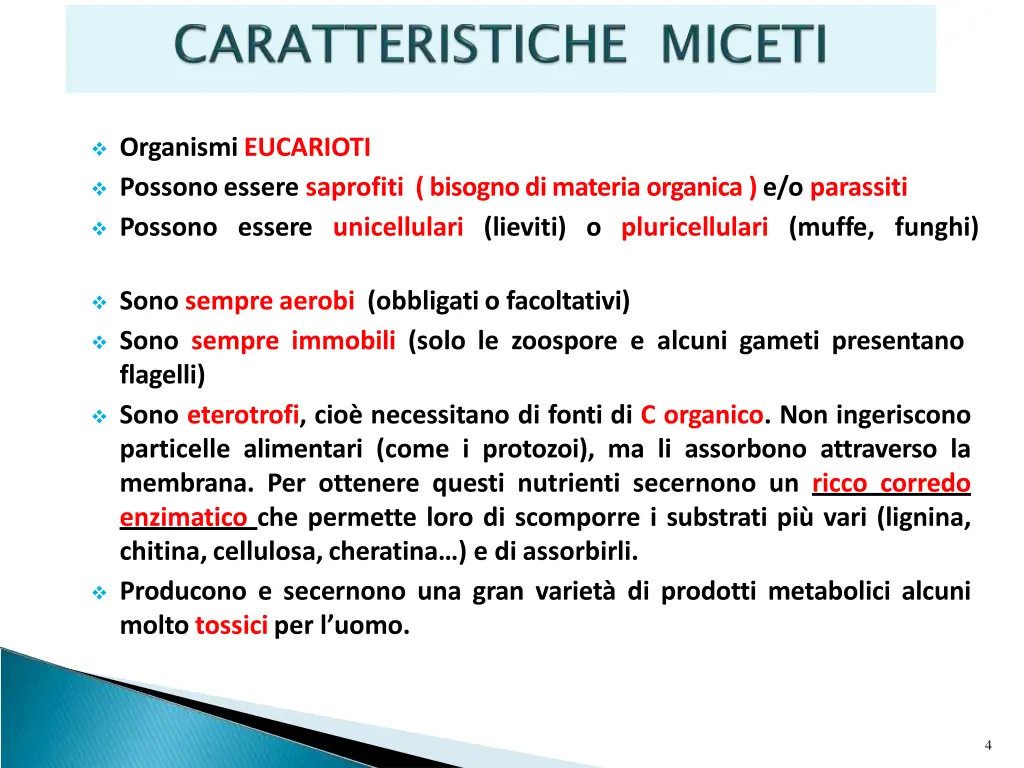 organismieucarioti