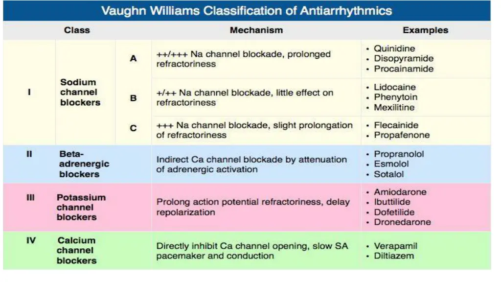 slide25