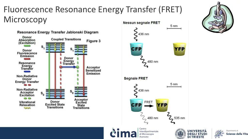 fluorescence resonance energy transfer fret 1