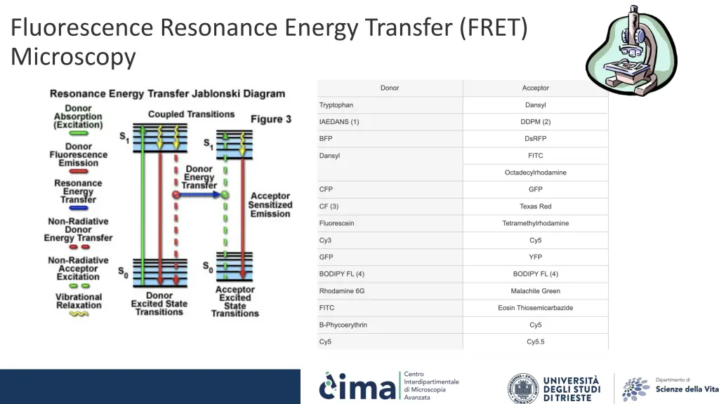 fluorescence resonance energy transfer fret 3