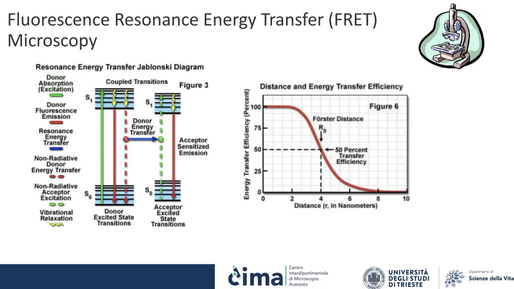 fluorescence resonance energy transfer fret