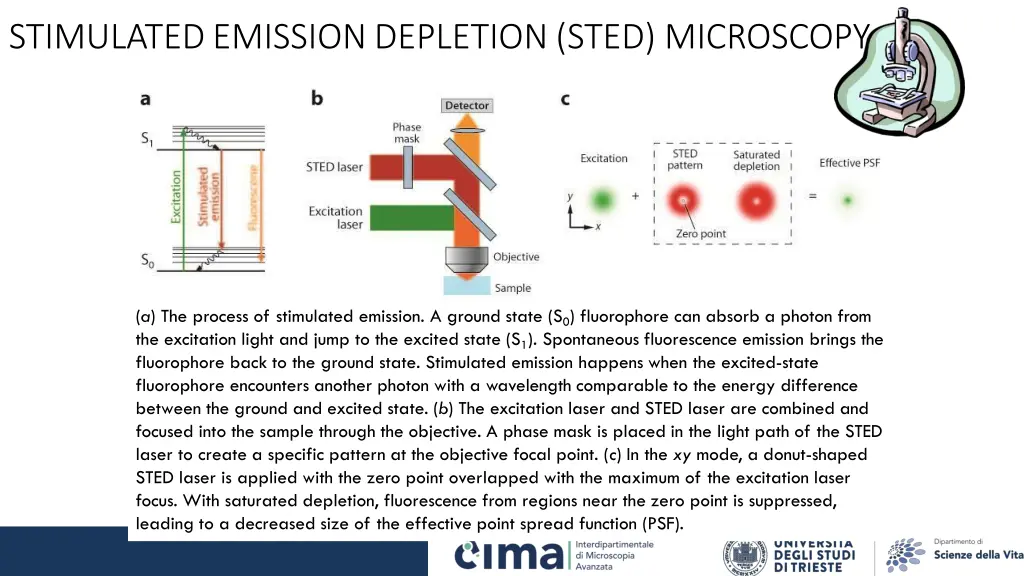 stimulated emission depletion sted microscopy