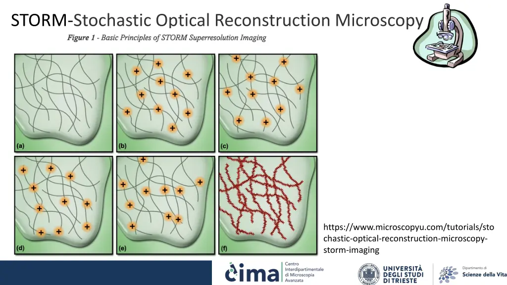 storm stochastic optical reconstruction microscopy 2