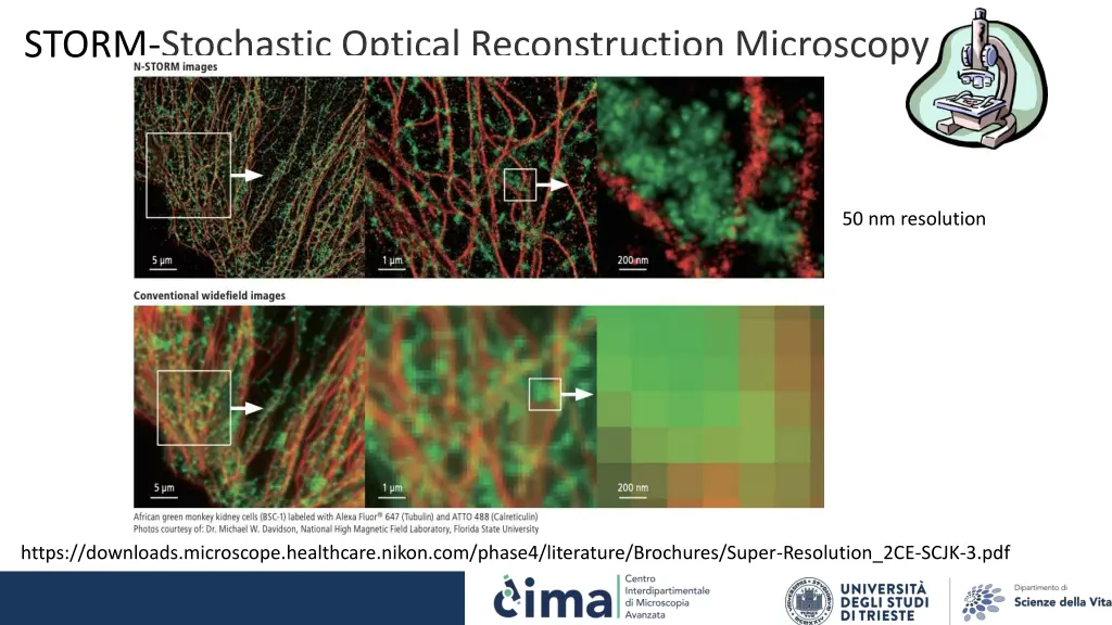 storm stochastic optical reconstruction microscopy 3