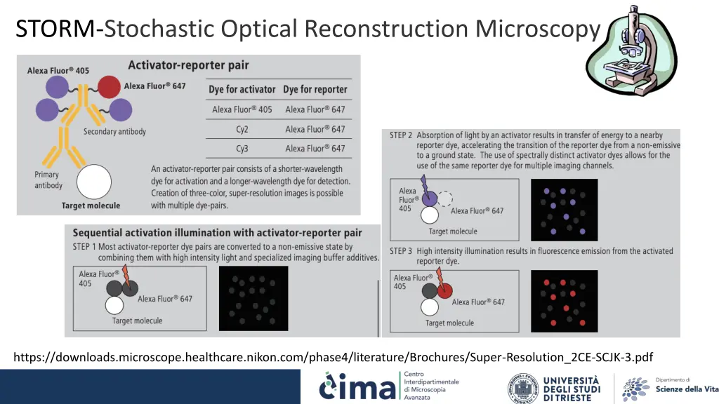 storm stochastic optical reconstruction microscopy