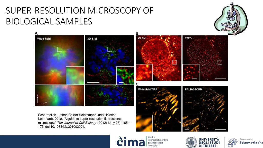 super resolution microscopy of biological samples 1