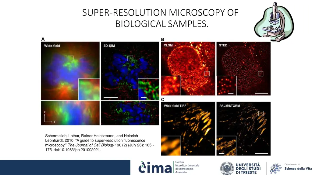 super resolution microscopy of biological samples