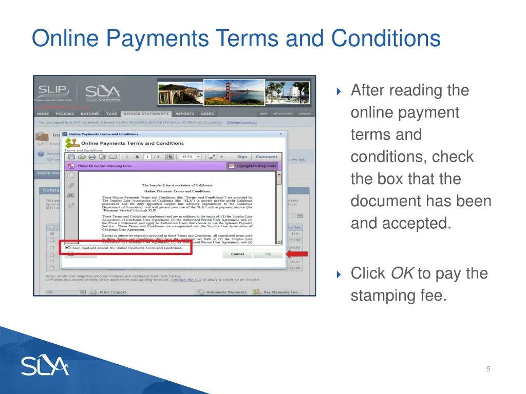 online payments terms and conditions