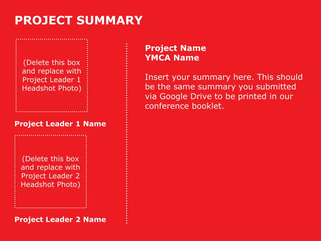 project summary