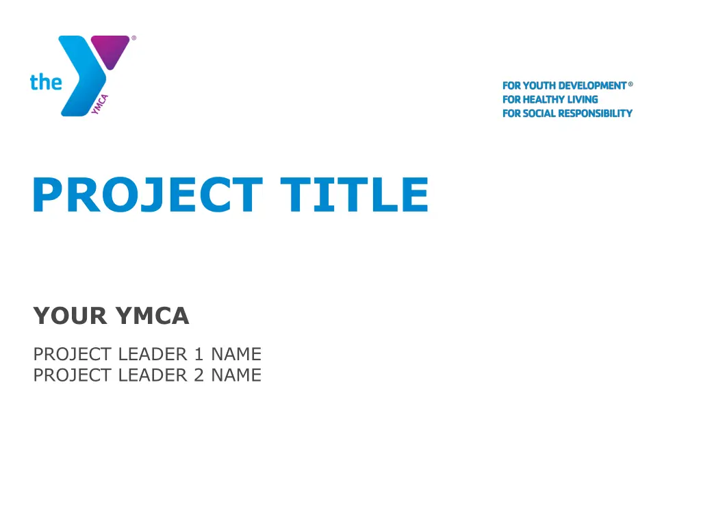 project title 2