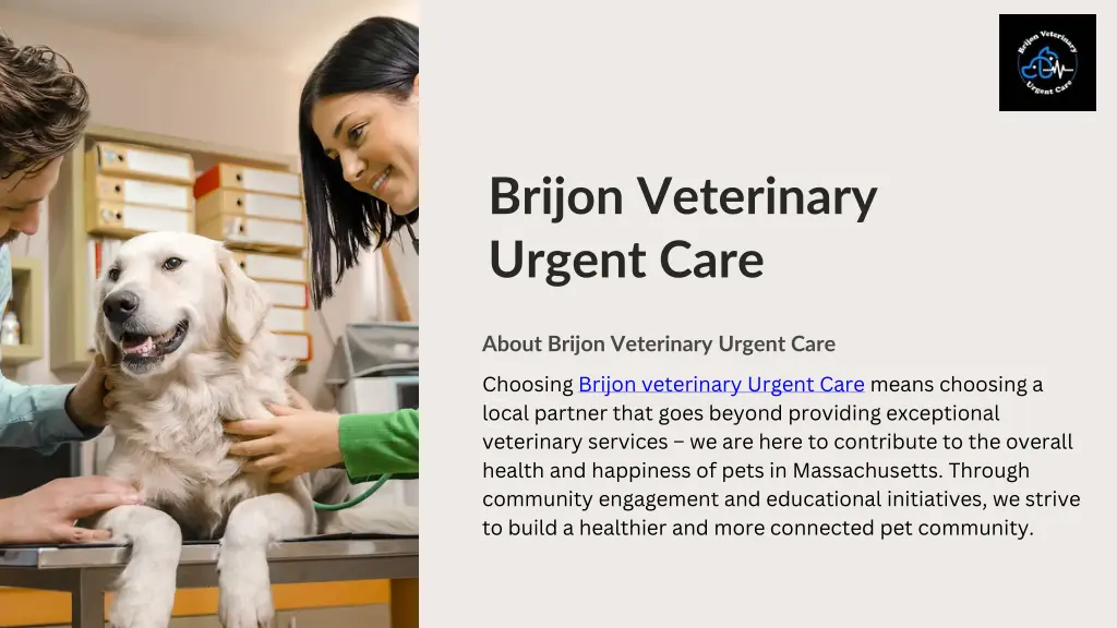 brijon veterinary urgent care