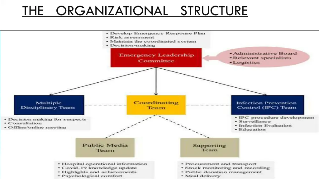 the organizational structure