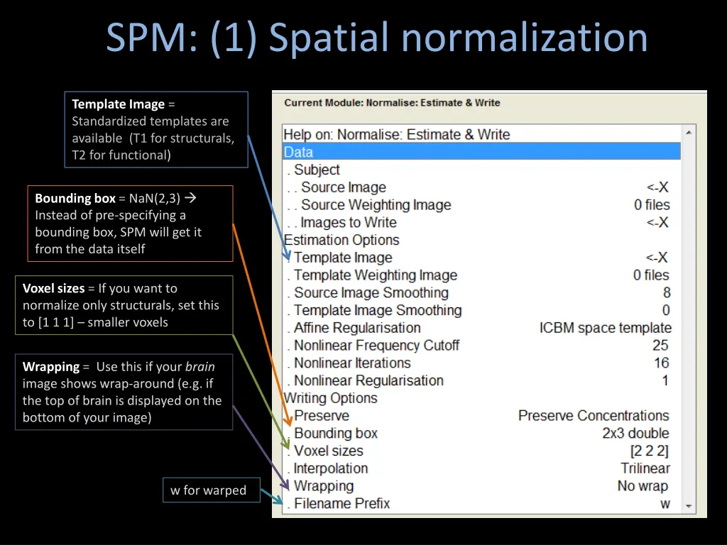 spm 1 spatial normalization 1