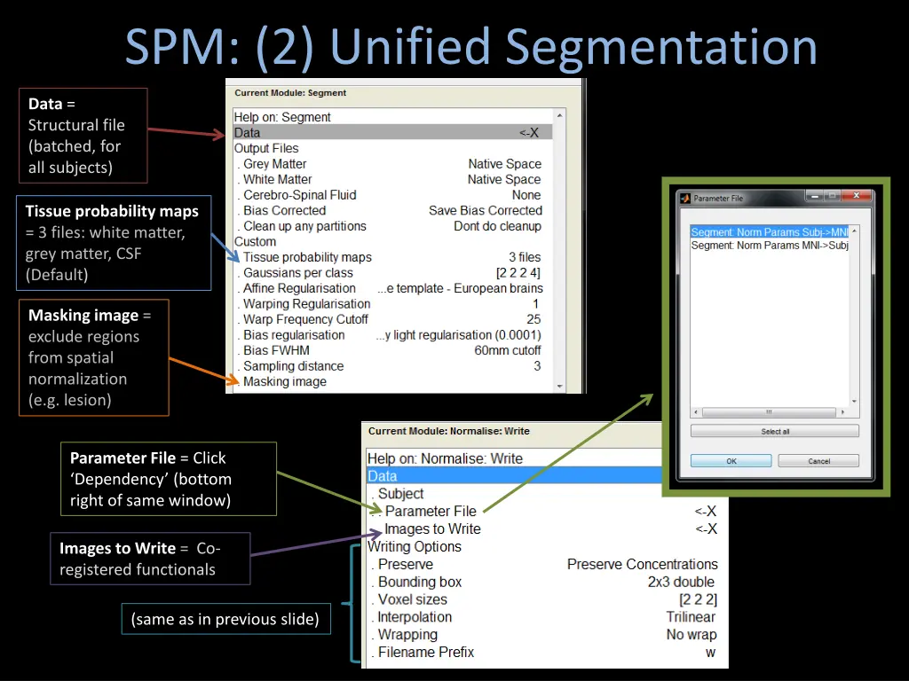 spm 2 unified segmentation 1