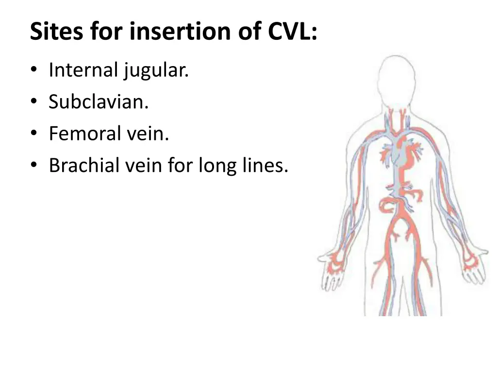 sites for insertion of cvl internal jugular