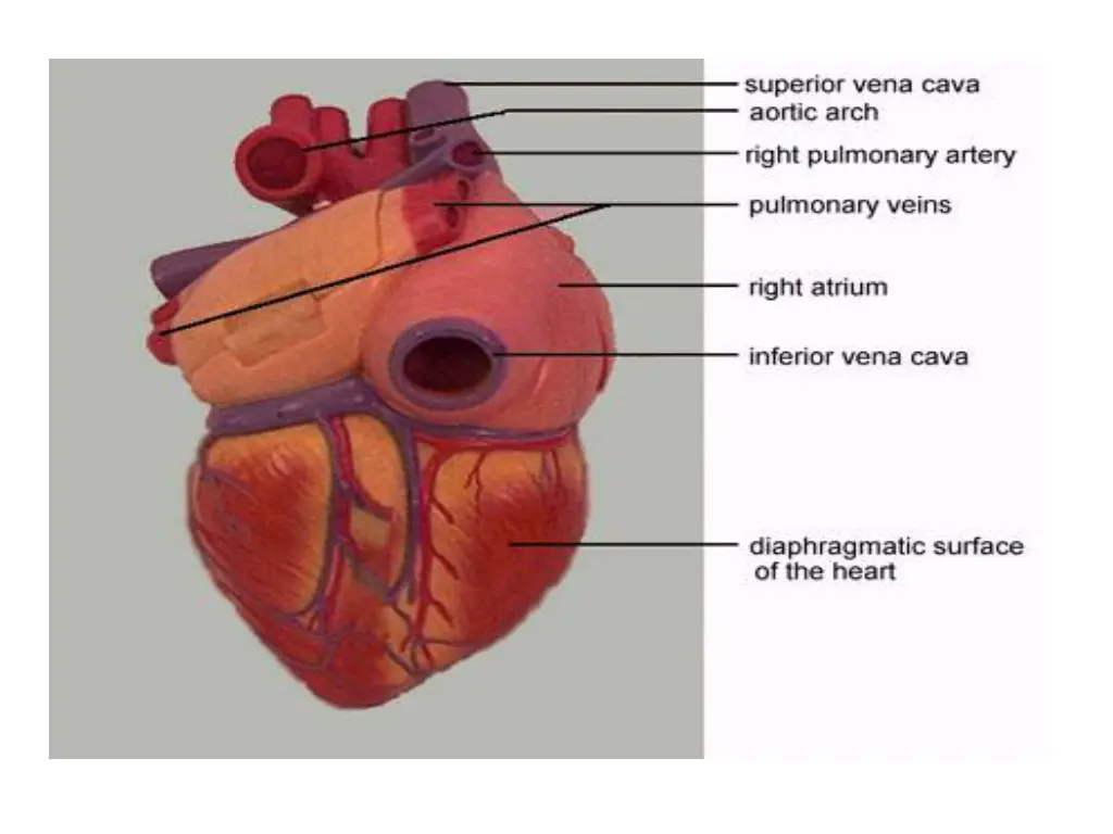 slide6