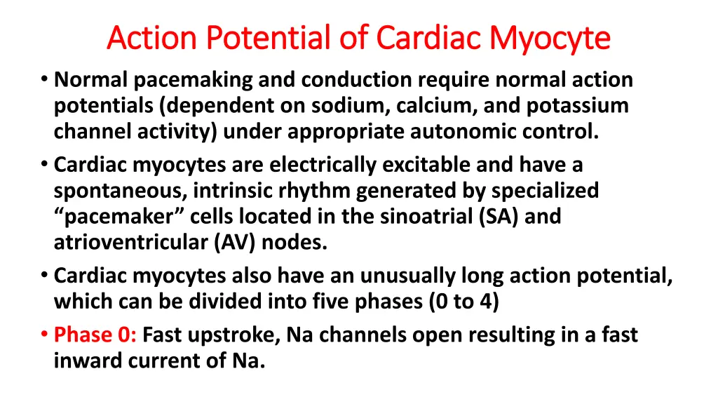 action potential of cardiac myocyte action